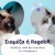 Σιαμέζα ή Ragdoll; Μοιάζουν, αλλά δεν είναι ίδιες - δες σε τι διαφέρουν