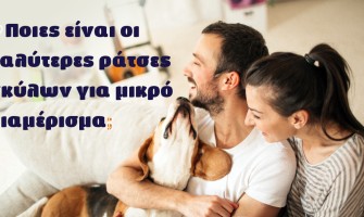 Ποιες είναι οι καλύτερες ράτσες σκύλων για μικρό διαμέρισμα;