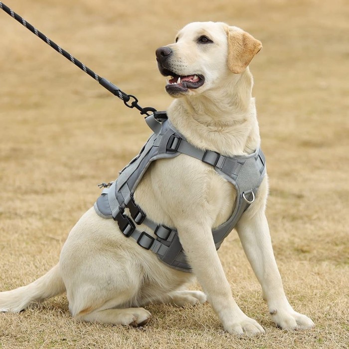 Σαμαράκια Military Dog Τακτικό Γιλέκο Υψηλής Ποιότητας & Αντοχής Γκρί για σκύλους Σαμαράκια Military Dog Τακτικό Γιλέκο Υψηλής Ποιότητας & Αντοχής Γκρί για σκύλους