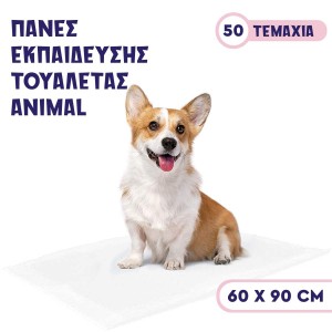 Πρόγραμμα Συνεργατών Πρόγραμμα Συνεργατών