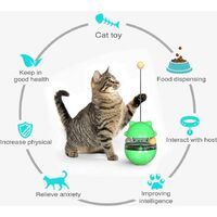 Ενασχόλησης Περιστρεφόμενο Παιχνίδι IQ για Γάτες & Εκπαιδευτικός Διανομέας Τροφής για γάτες
