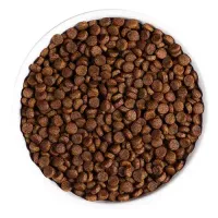 Ξηρά Τροφή Ambrosia Grain Free Cat Adult Sterilized Fresh Salmon & Chicken  5kg για γάτες
