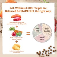 Ξηρά Τροφή Wellness Core Sterilized Σολομός 1.75kg για γάτες