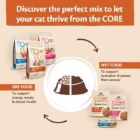 Ξηρά Τροφή Wellness Core Sterilized Σολομός 1.75kg για γάτες