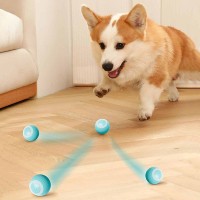 Ενασχόλησης Μπαλάκι Pet_Gravity Κινείται Μόνο του - Tο Αυθεντικό! για γάτες