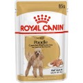 Royal Canin Caniche/Barboncino με Κρέας