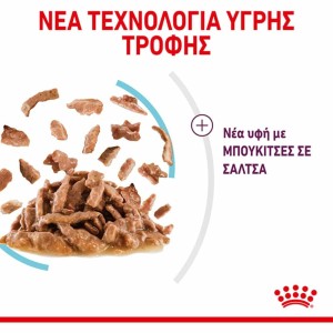 Πρόγραμμα Συνεργατών