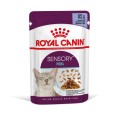 Royal Canin Sensory Feel jelly/Salsa