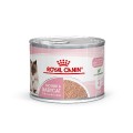 Royal Canin F.Wet Babycat