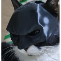Μάσκα Batman Για Γάτες