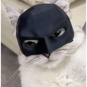 Πρόγραμμα Συνεργατών