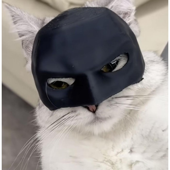 Μάσκα Batman Για Γάτες