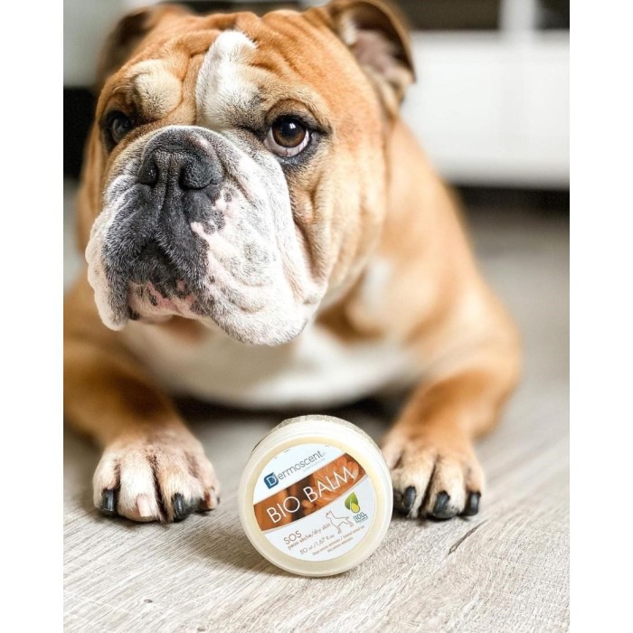 Πατούσες Dermoscent Bio Balm Dog Κρέμα Σκύλου για σκύλους