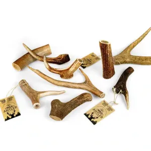 Celebrate Κεραto Red Deer Antler