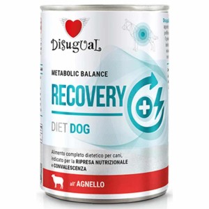 Κλινική Κονσέρβα Σκύλου Disugual Diet Dog-Recovery Με Αρνί