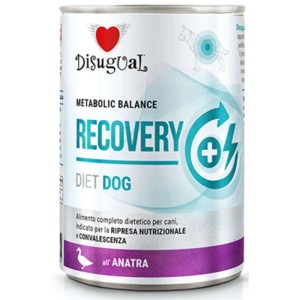 Κλινική Κονσέρβα Σκύλου Disugual Diet Dog-Recovery Με Πάπια Κλινική Κονσέρβα Σκύλου Disugual Diet Dog-Recovery Με Πάπια