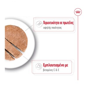 Πρόγραμμα Συνεργατών