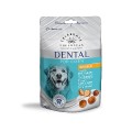 Celebrate Freshness Dental Pop Corn Chicken