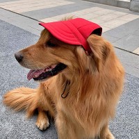 Καπελάκια Καπελάκι Σκύλου Με Σχέδιο Κόκκινο για γάτες