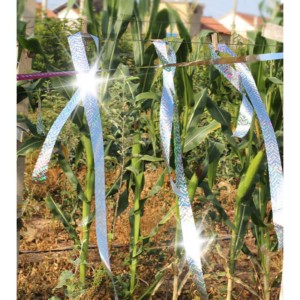Πρόγραμμα Συνεργατών