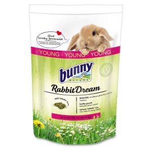 Rabbit Dream Young