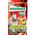 Manitoba Miscuglio Coniglietto