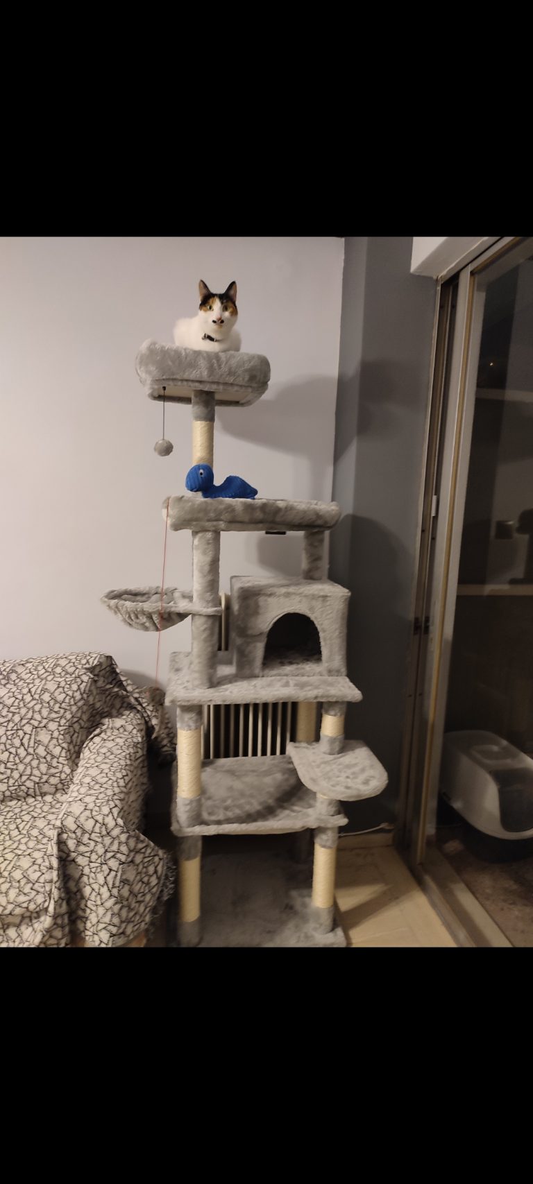 Ονυχοδρόμιο Γάτας 5 Επιπέδων photo review