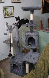 Ονυχοδρόμιο Γάτας 5 Επιπέδων photo review