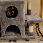 Ονυχοδρόμιο Γάτας 4 Επιπέδων Γκρι photo review