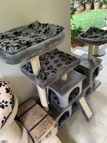 Click to view full screen Soft Fleece Pet Κουβερτάκι Γκρί photo review