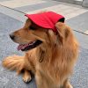 Καπελάκι Σκύλου Με Σχέδιο Κόκκινο