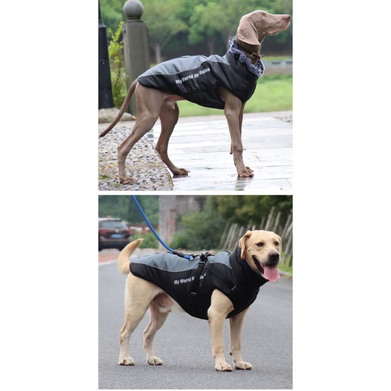 Μπουφάν Σκύλου Ενισχυμένο Υψηλής Ποιότητας Μαύρο-Γκρι