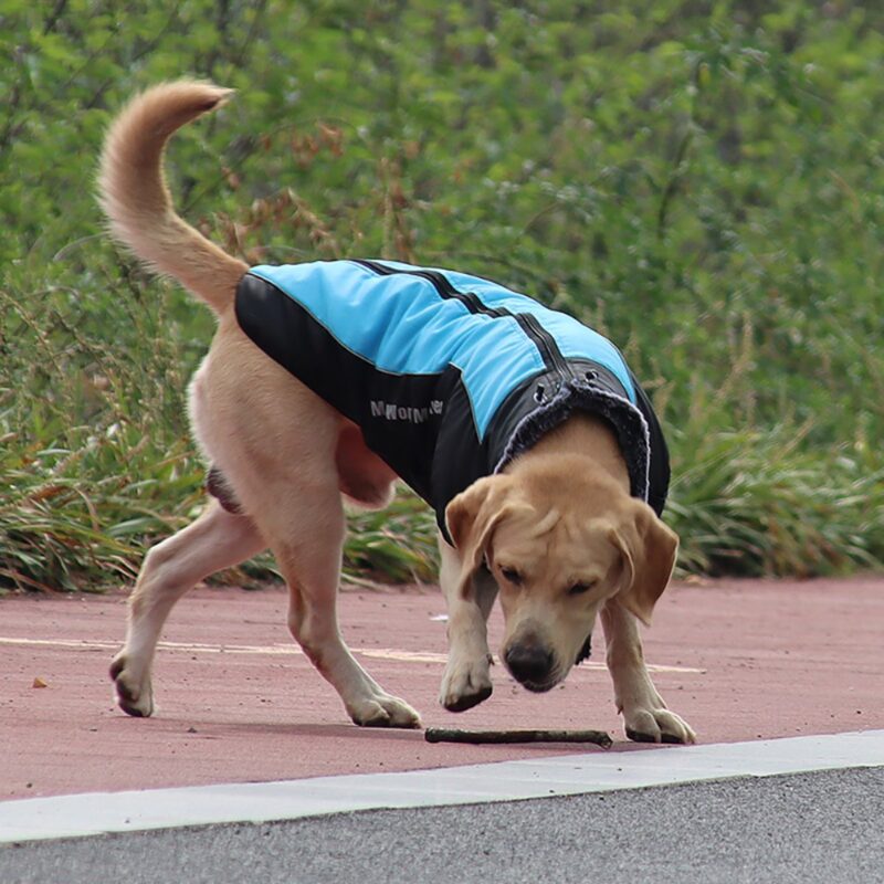 Μπουφάν Σκύλου Ενισχυμένο Υψηλής Ποιότητας Μαύρο-Γκρι