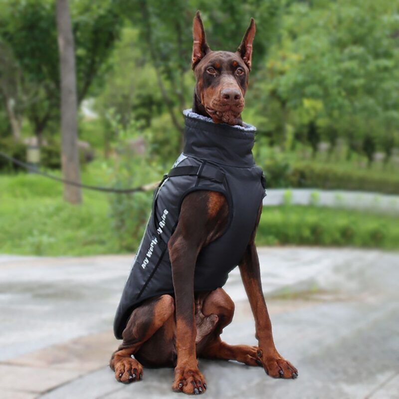 Μπουφάν Σκύλου Ενισχυμένο Υψηλής Ποιότητας Μαύρο-Ροζ
