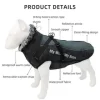 Μπουφάν Σκύλου Ενισχυμένο Υψηλής Ποιότητας Μαύρο-Άσπρο Με Σχέδια