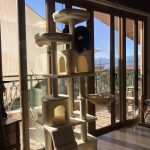 Ονυχοδρόμιο Γάτας 6 Επιπέδων Μπεζ photo review