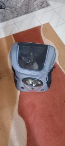 Τσάντα Μεταφοράς Κατοικιδίου Μαύρη με Παράθυρο photo review