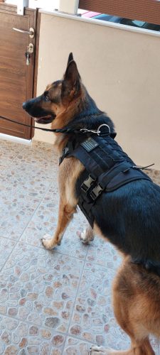 Military Dog Τακτικό Γιλέκο Υψηλής Ποιότητας & Αντοχής Μαύρο photo review