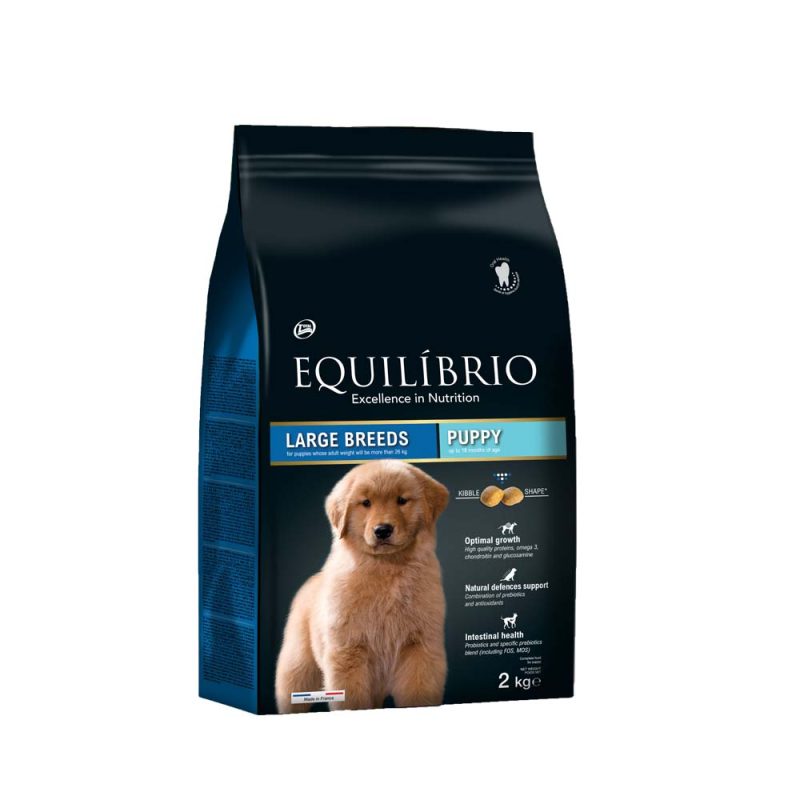 Equilibrio Dog Puppy Large Breed