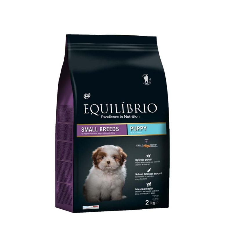Equilibrio Dog Puppy Small Breed