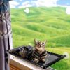 Αιώρα Γάτας Κρεμαστή - Ανθεκτική Υφασμάτινη