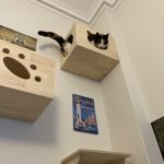Επιτοίχιο Πλήρες Δεντρόσπιτο Γάτας με Εξέδρες και Φωλιές από Φυσικό Ξύλο photo review