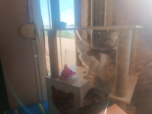 Ονυχοδρόμιο με Εξέδρες και Φωλιές από Φυσικό Ξύλο photo review