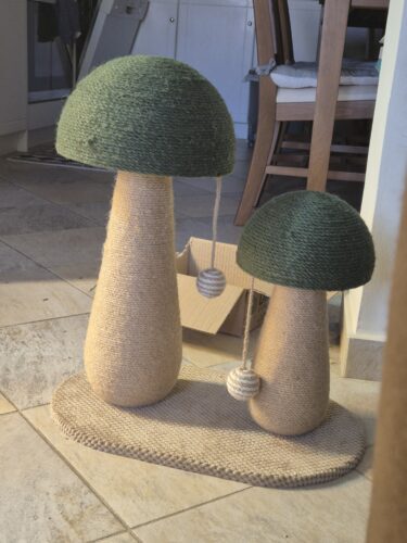 Ονυχοδρόμιο Γάτας Διπλό Μανιτάρι Με Παιχνίδι 2 Σε 1 photo review