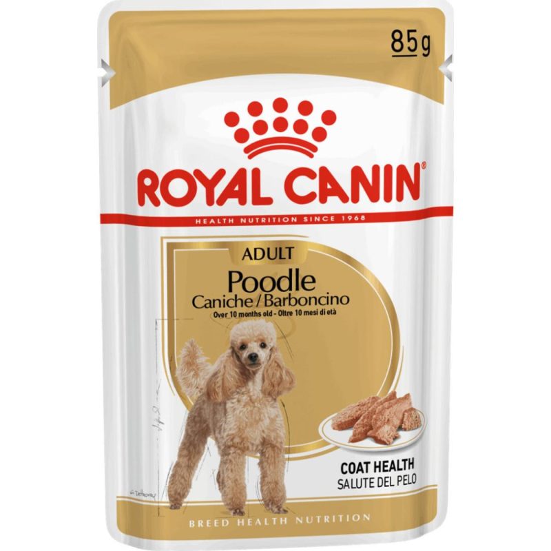 Royal Canin Caniche/Barboncino με Κρέας