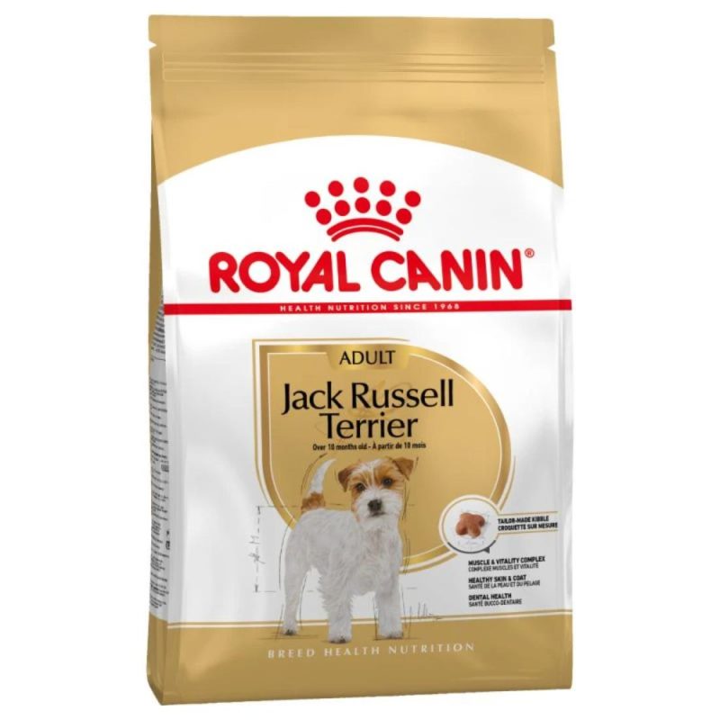 Bhn Jack Russel Adult