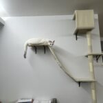 Επιτοίχιο Γατόδεντρο Αναρρίχησης 5 Επιπέδων photo review