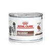 Royal Canin Vet Diet Recovery