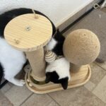 Ονυχοδρόμιο 2 Στύλων Από Φυσικό Ξύλο με Παιχνίδια photo review