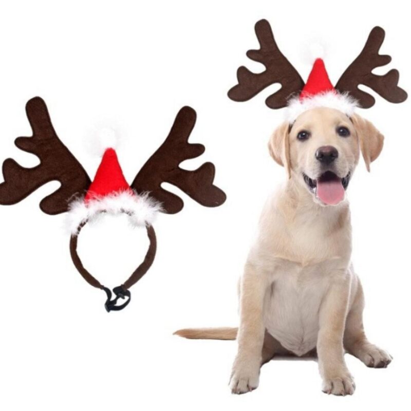 Χριστουγεννιάτικη Στέκα Τάρανδος Με Σκουφάκι 1 Χριστουγεννιάτικη Στέκα Τάρανδος Με Σκουφάκι